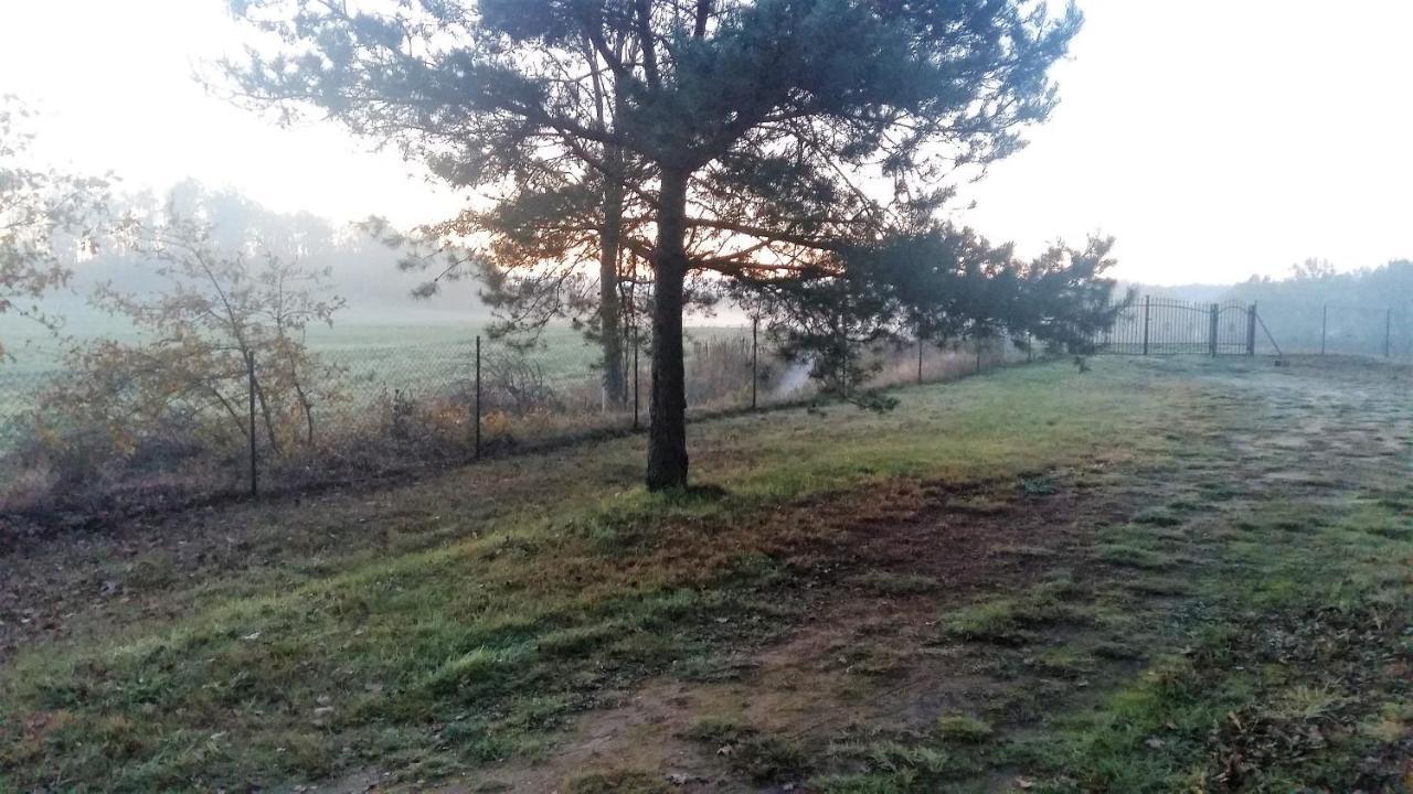 Willa Kraniec Swiata - Tylko Dla Ciebie - Zachwyca Krajobrazem, Regeneruje Cisza I Komfortem Boleslawiec  Esterno foto